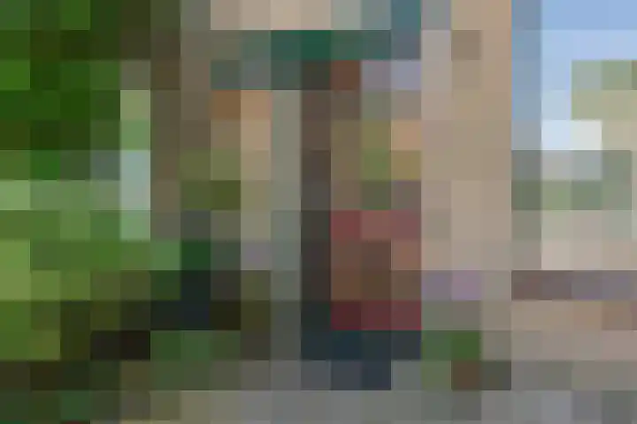Fazantenhof 77 Eemnes thumbnail 4