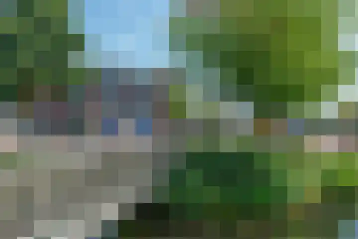 Fazantenhof 77 Eemnes thumbnail 40
