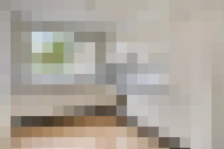 Fazantenhof 89 Schagen thumbnail 14