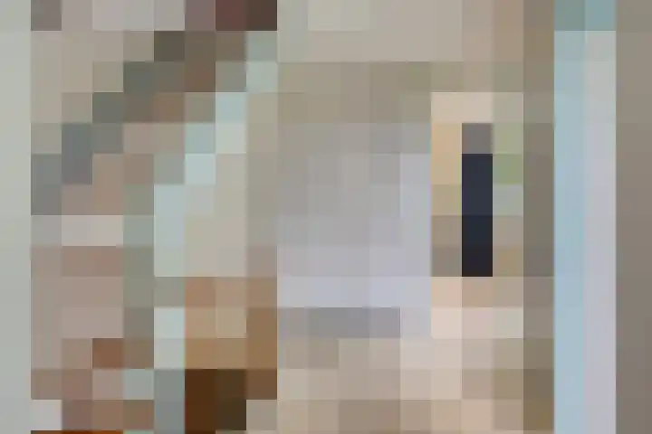 Fazantenhof 89 Schagen thumbnail 27