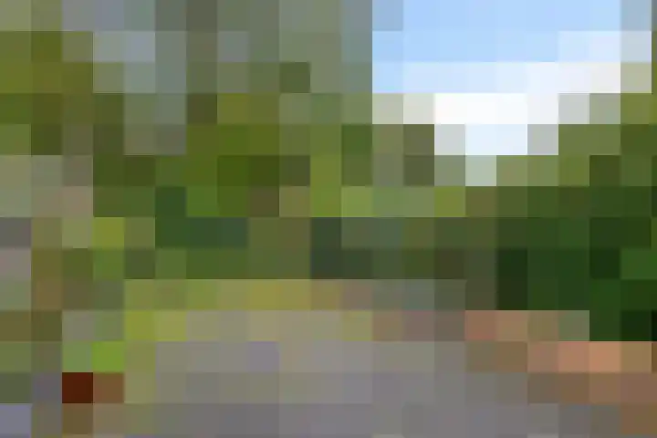 Fazantenhof 89 Schagen thumbnail 35