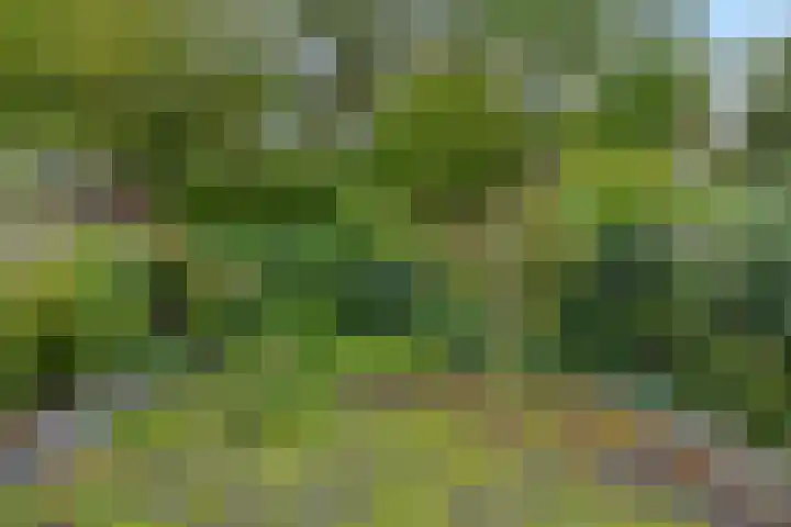 Fazantenhof 89 Schagen thumbnail 36