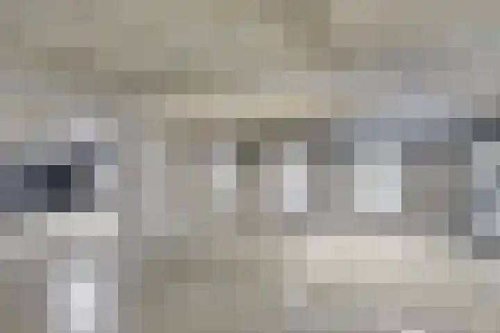 Fazantenhof 94 Middelburg thumbnail 23