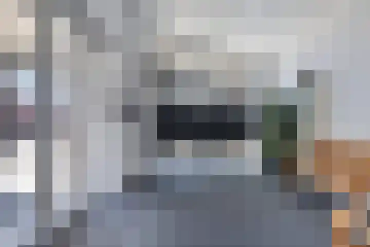 Fazantenhof 94 Middelburg thumbnail 26