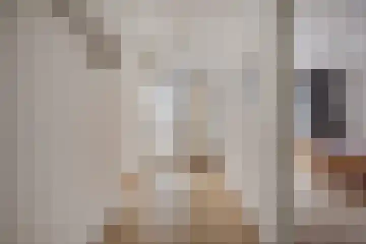 Fazantenhof 96 Middelburg thumbnail 14