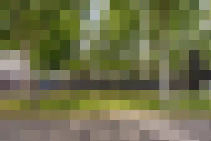 Fazantenhof 96 Middelburg thumbnail 30