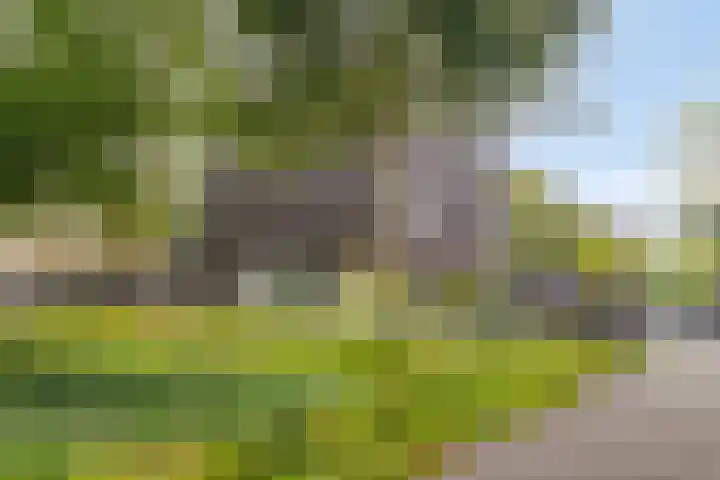 Fazantenhof 96 Middelburg thumbnail 31