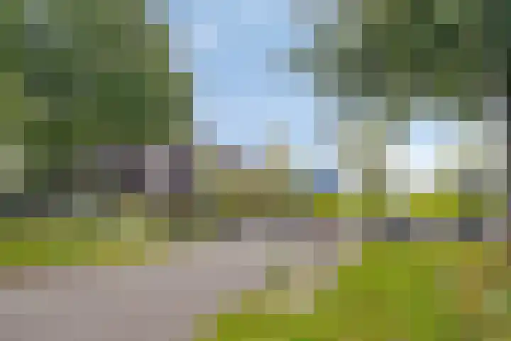 Fazantenhof 96 Middelburg thumbnail 32