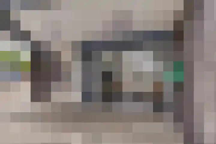 Fazantenhof 96 Middelburg thumbnail 5
