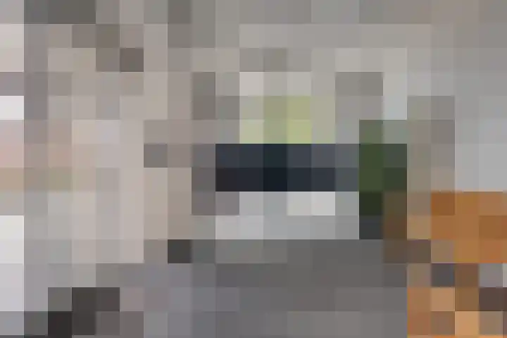 Fazantenhof 96 Middelburg thumbnail 6