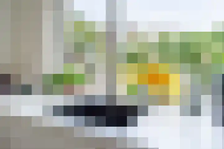 Fazantenhof 97 Eemnes thumbnail 15