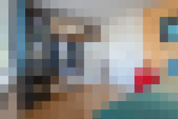 Fazantenhof 97 Eemnes thumbnail 22