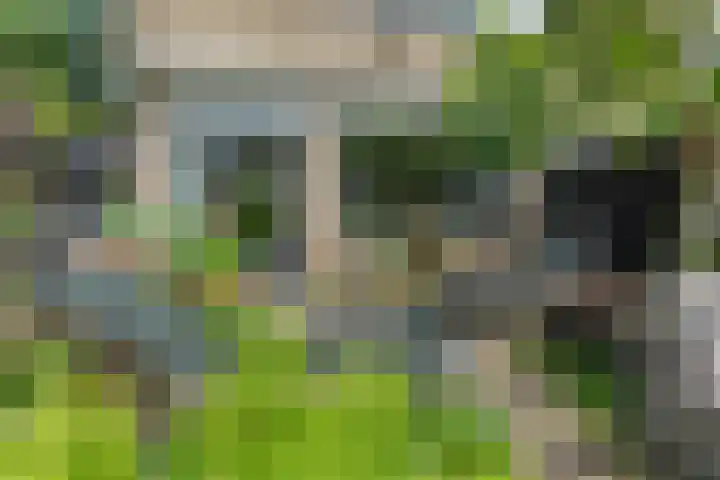 Fazantenhof 97 Eemnes thumbnail 37
