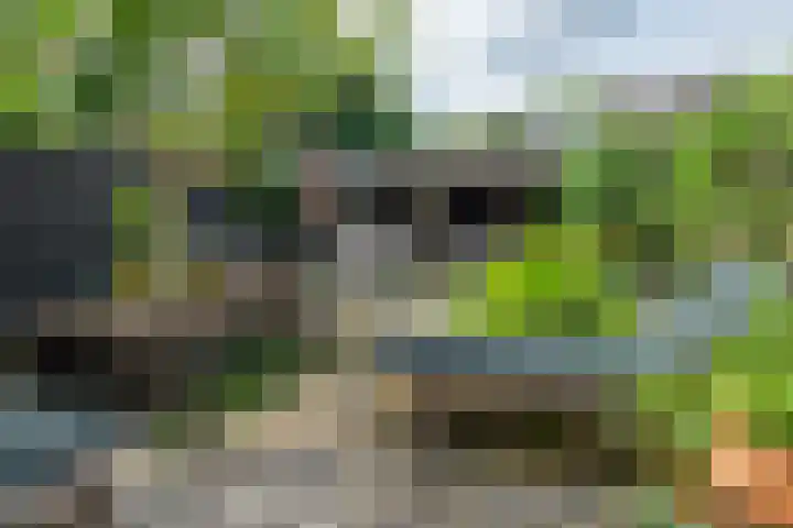 Fazantenhof 97 Eemnes thumbnail 38