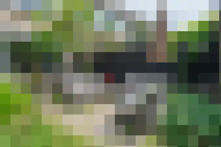 Fazantenhof 97 Eemnes thumbnail 39