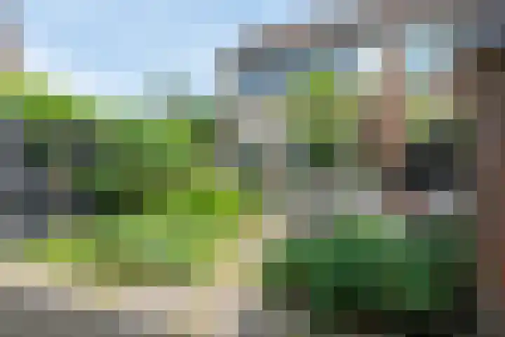 Fazantenhof 97 Eemnes thumbnail 42