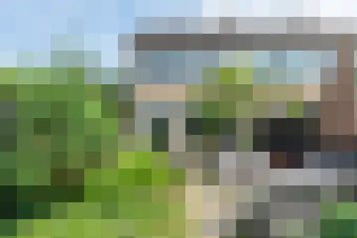 Fazantenhof 97 Eemnes thumbnail 43