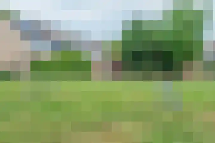 Fazantenhof 97 Eemnes thumbnail 44