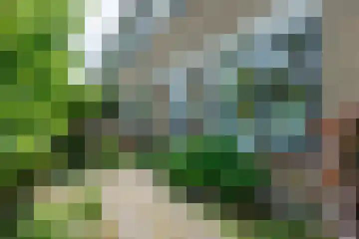Fazantenhof 97 Eemnes thumbnail 5