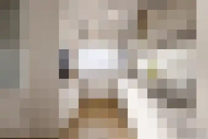 Fazantenkamp 148 Maarssen thumbnail 14