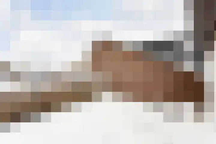 Fazantenkamp 148 Maarssen thumbnail 38