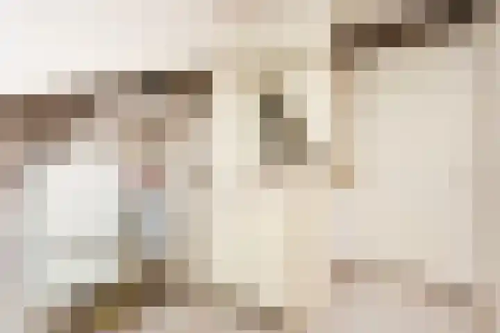 Fazantenkamp 148 Maarssen thumbnail 41