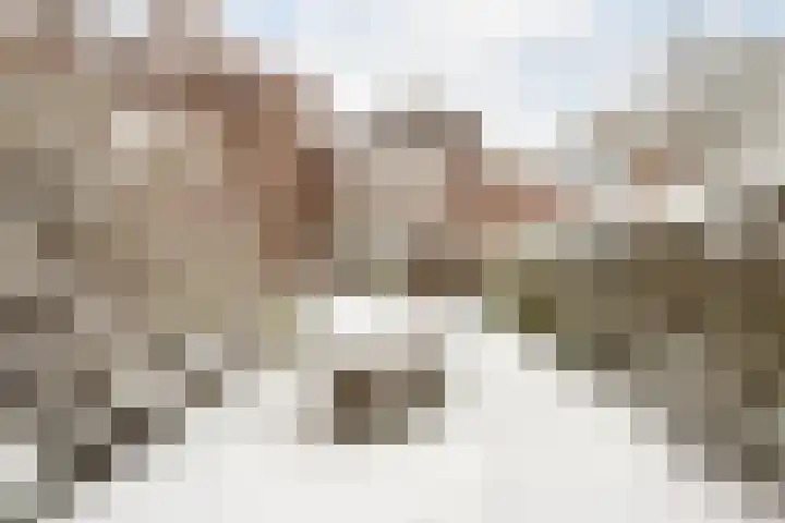 Fazantenkamp 148 Maarssen thumbnail 42