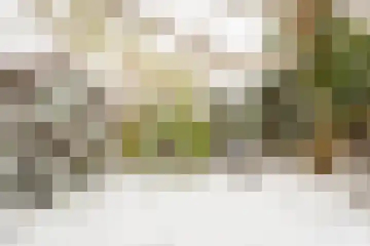 Fazantenkamp 148 Maarssen thumbnail 47