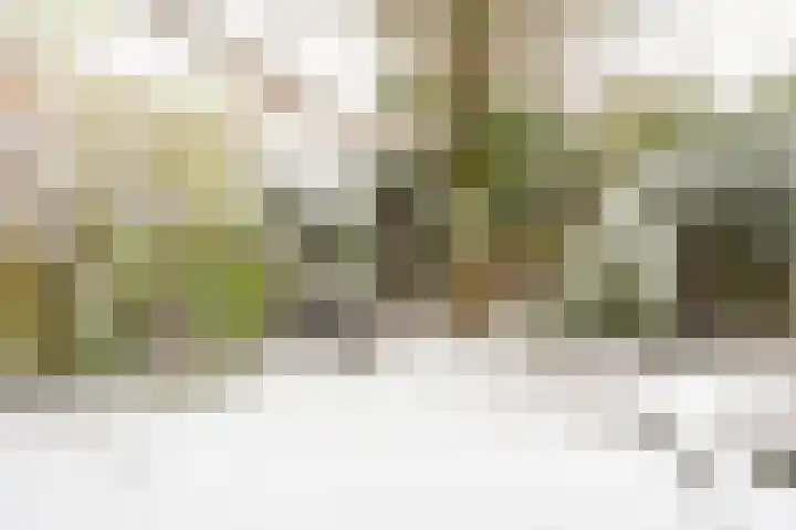 Fazantenkamp 148 Maarssen thumbnail 48
