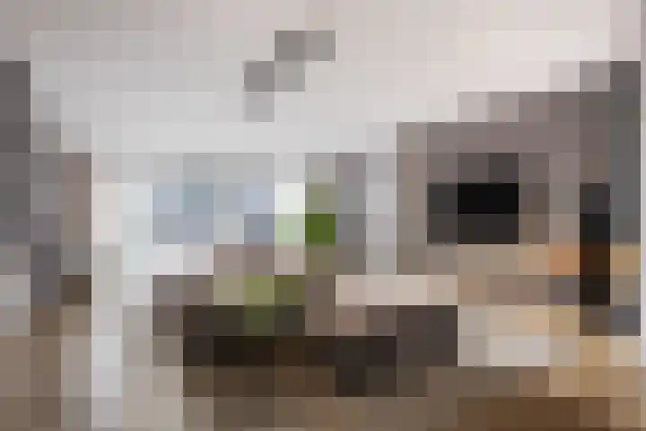 Fazantenkamp 148 Maarssen thumbnail 8