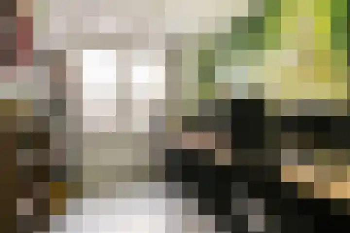 Fazantenkamp 15 Maarssen thumbnail 15