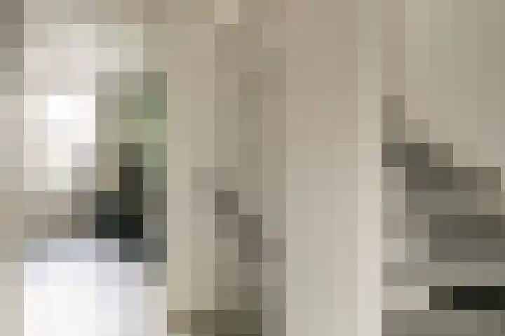 Fazantenkamp 15 Maarssen thumbnail 17