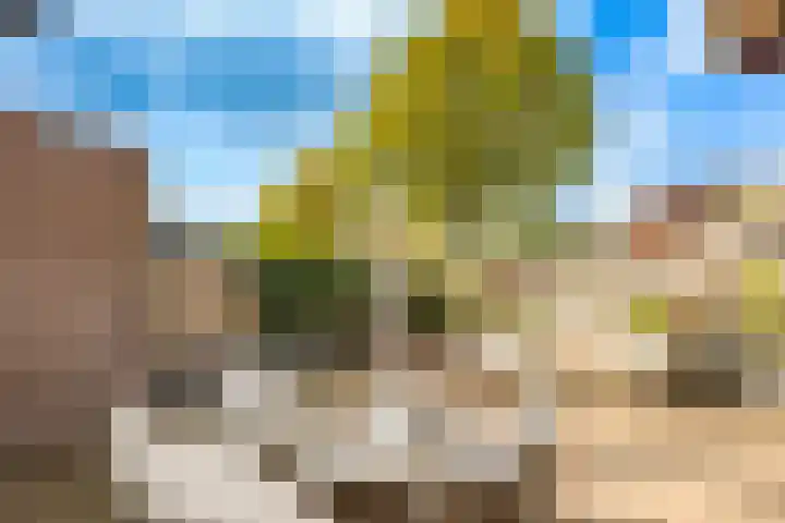 Fazantenkamp 175 Maarssen thumbnail 22