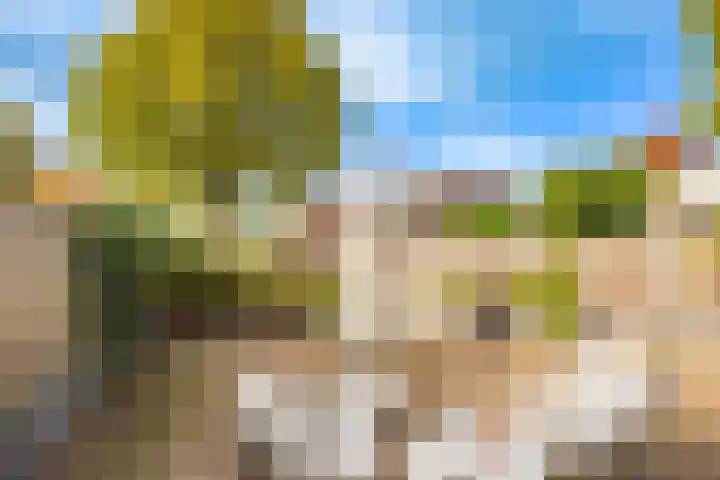 Fazantenkamp 175 Maarssen thumbnail 23