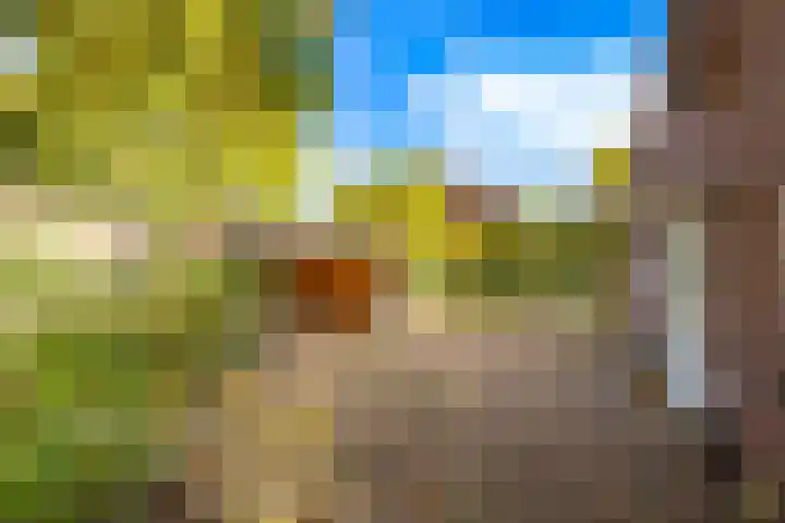 Fazantenkamp 175 Maarssen thumbnail 26
