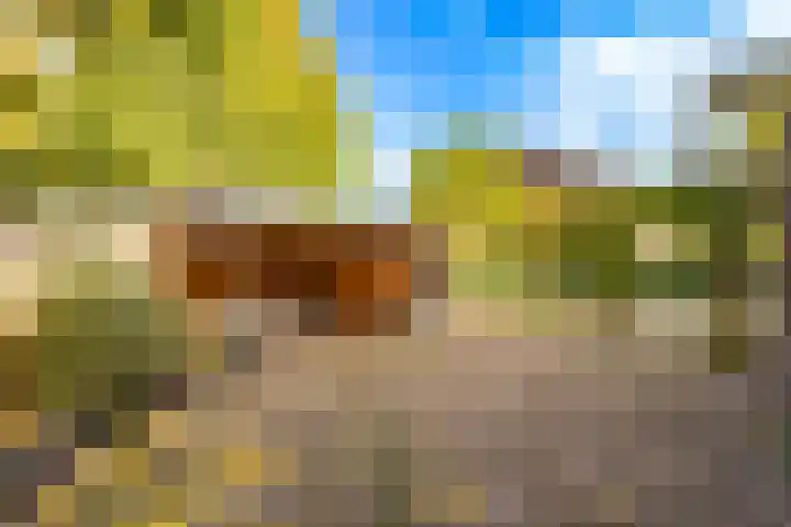 Fazantenkamp 175 Maarssen thumbnail 27