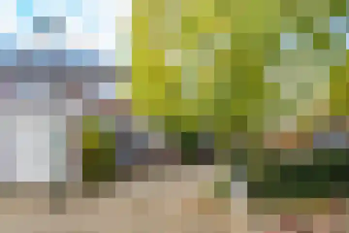 Fazantenkamp 175 Maarssen thumbnail 47