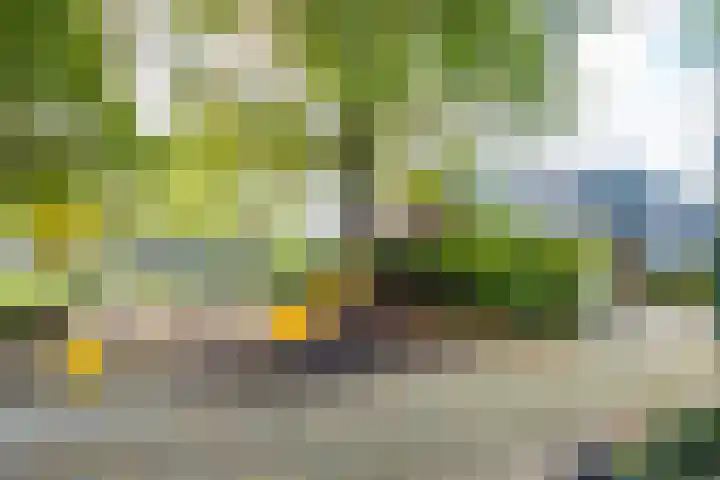 Fazantenkamp 175 Maarssen thumbnail 48