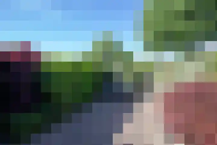 Fazantenkamp 176 Maarssen thumbnail 31