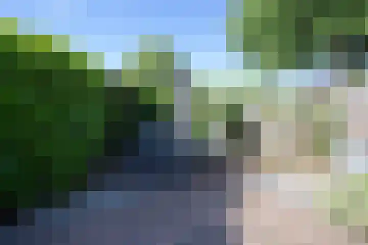Fazantenkamp 176 Maarssen thumbnail 32