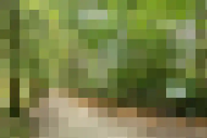 Fazantenkamp 176 Maarssen thumbnail 36