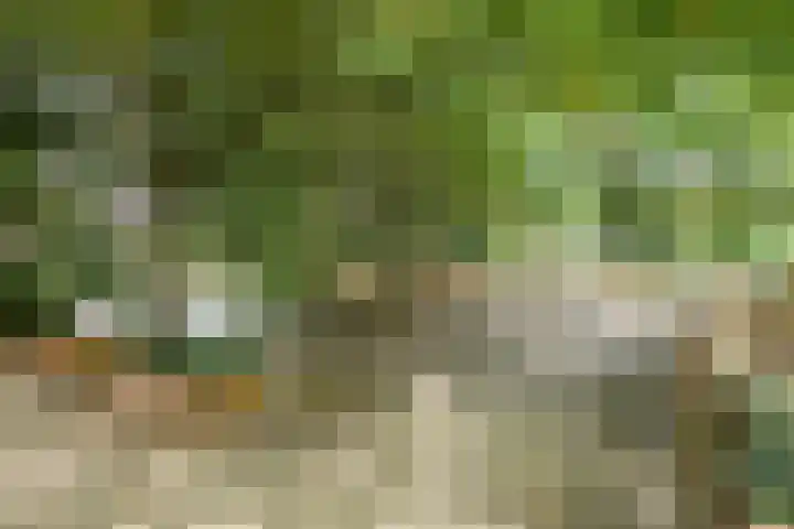 Fazantenkamp 176 Maarssen thumbnail 37