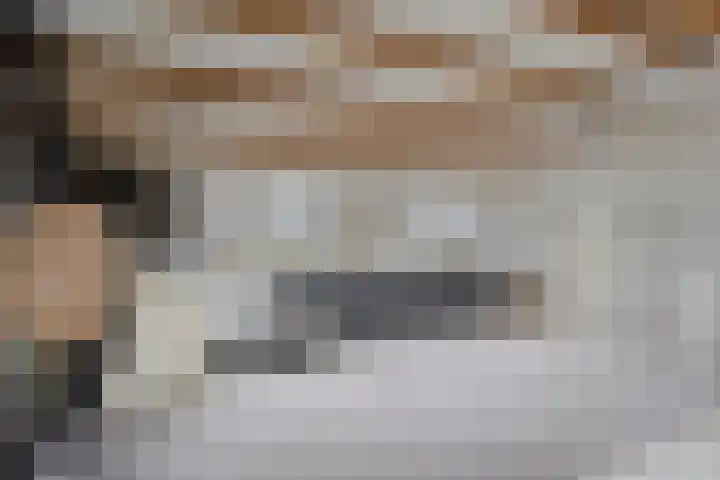 Fazantenkamp 185 Maarssen thumbnail 27