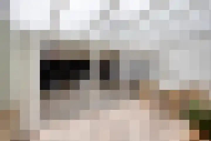 Fazantenkamp 185 Maarssen thumbnail 8