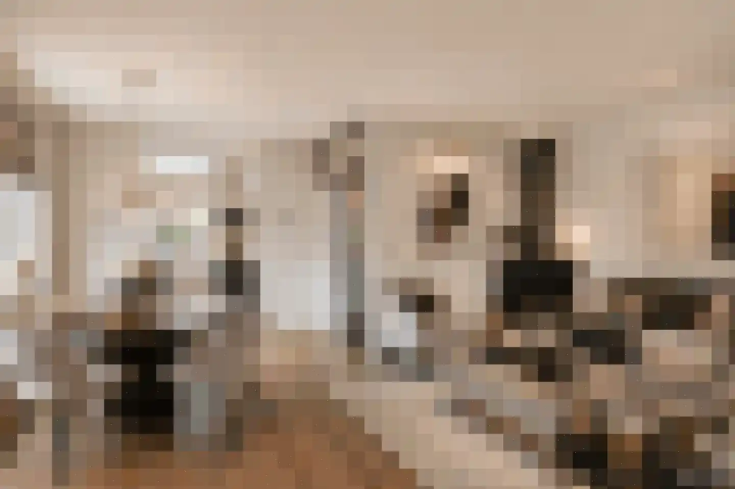 Fazantenkamp 199 Maarssen thumbnail 11