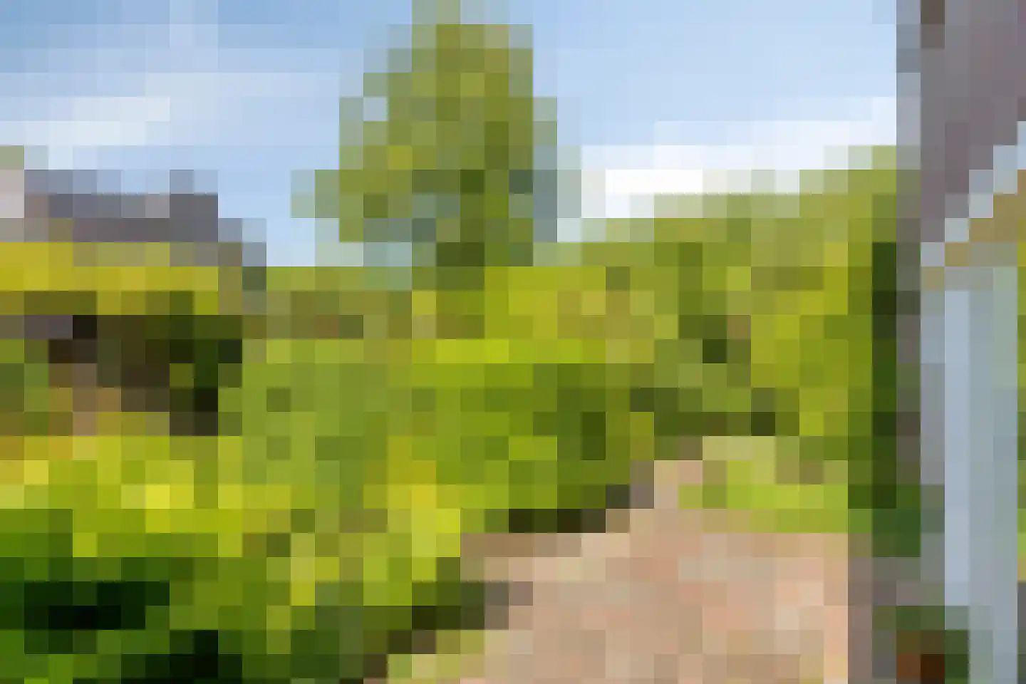 Fazantenkamp 199 Maarssen thumbnail 29