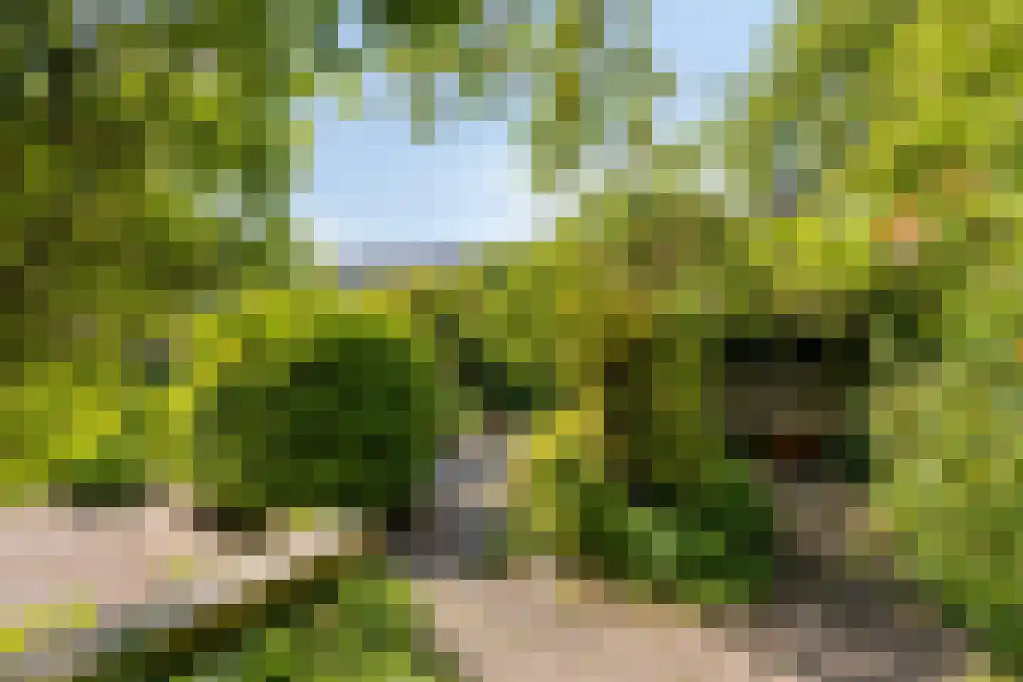 Fazantenkamp 199 Maarssen thumbnail 31