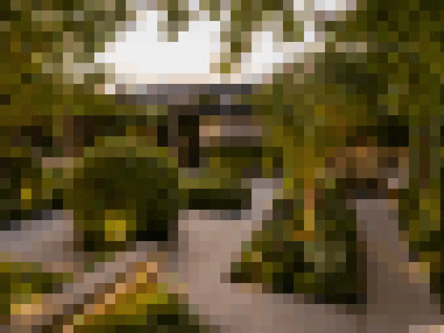 Fazantenkamp 199 Maarssen thumbnail 33