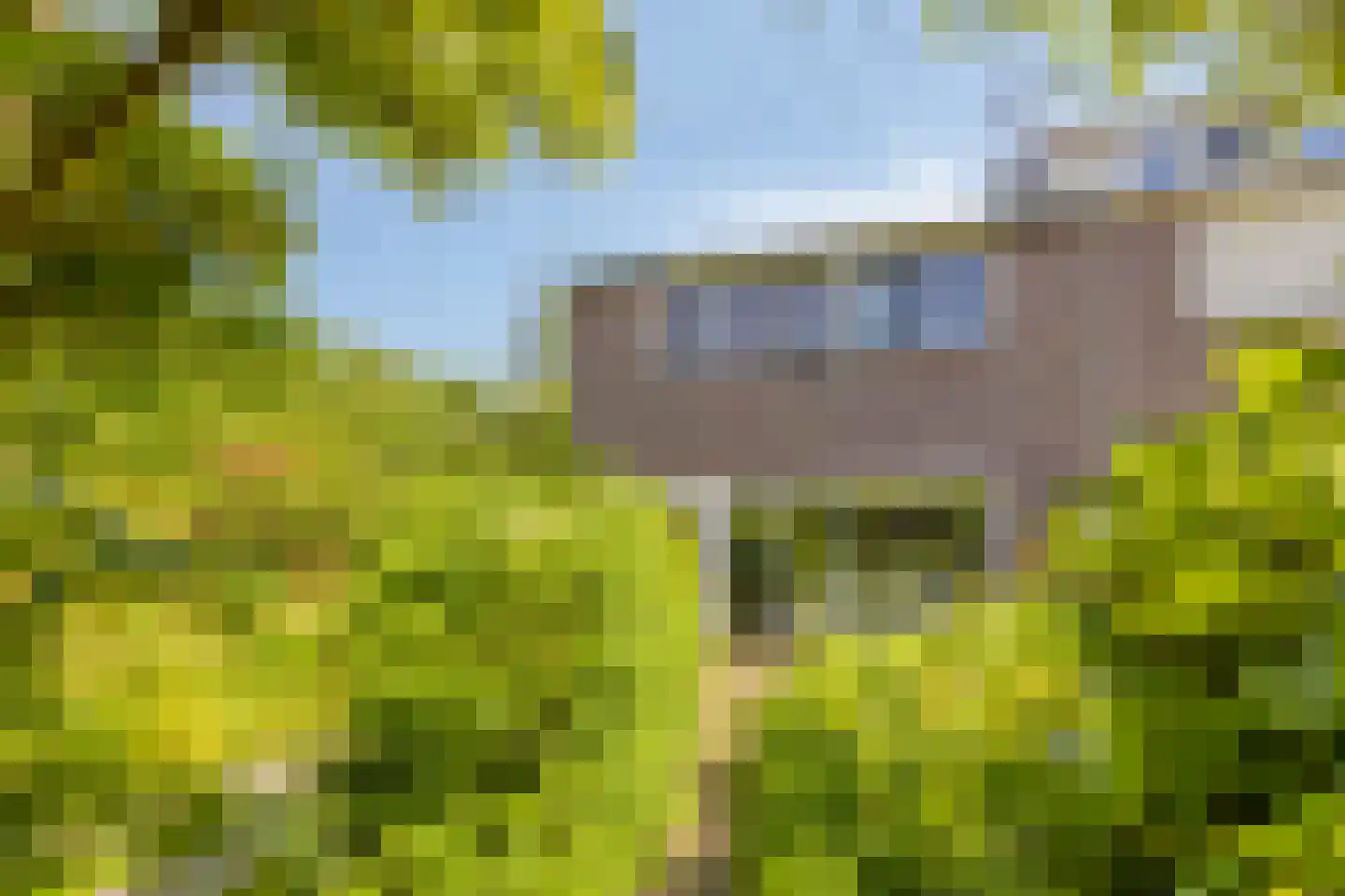 Fazantenkamp 199 Maarssen thumbnail 36
