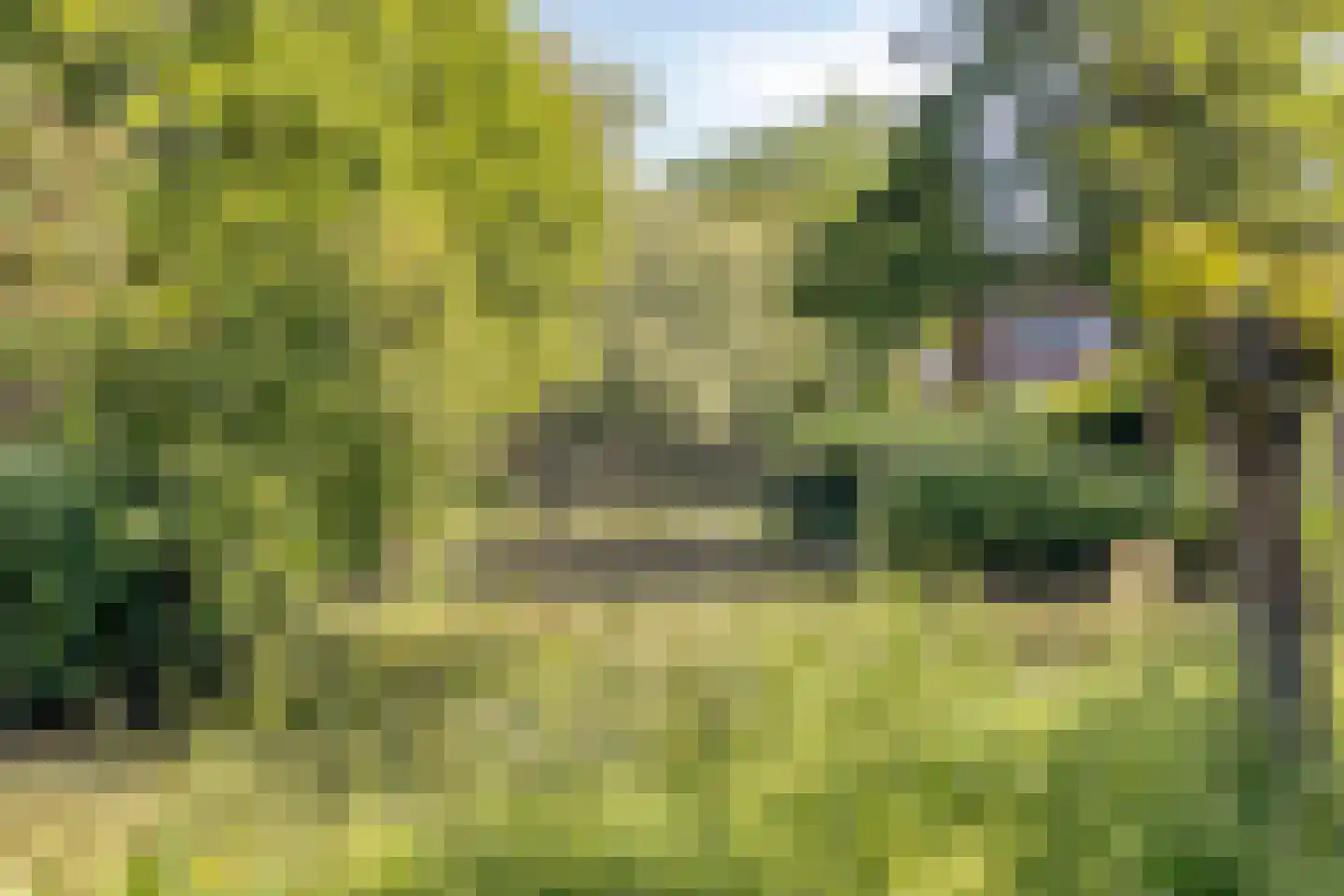 Fazantenkamp 199 Maarssen thumbnail 43